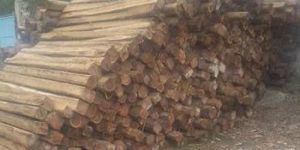 African Teak Wood Square Logs