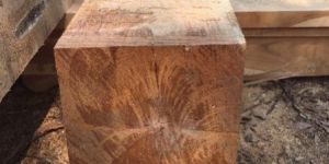 Indonesian Teak Wood Square Logs