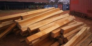 Ivory Coast Teak Wood Square Logs