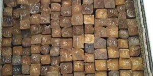 Sudan Teak Wood Square Logs