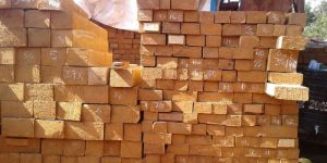 Tanzania Teak Wood Square Logs