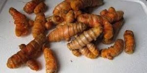 Turmeric