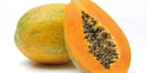 Fresh Papaya