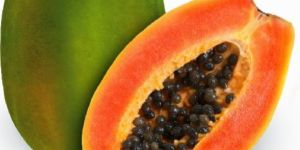 Papaya