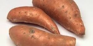 Sweet Potato