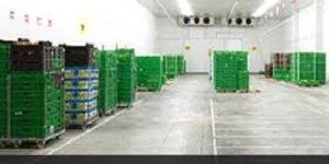 Multi Commodity Cold Room Storage Services