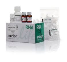 Rna Isolation Kit