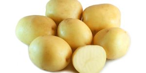 White Potato
