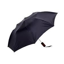 Two Fold Umbrella