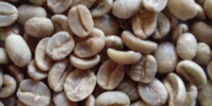 Beetall Arabica Green Beans