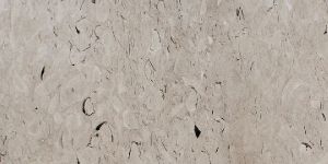 Fossil Grey Marble Stone
