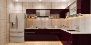 3D Kitchen Interior Designing