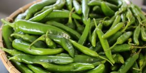 Fresh Green Chilli