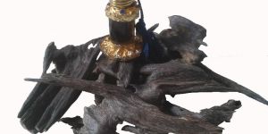Agarwood Oil & chips