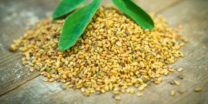 Fenugreek Seed