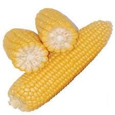 Yellow Corn