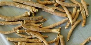Ashwagandha Roots