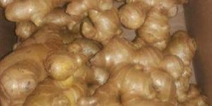 Fresh Ginger