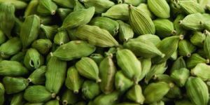 Green Cardamom