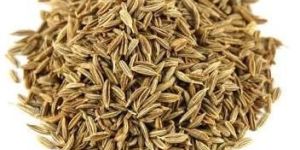 Cumin Seeds
