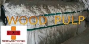 Wood Pulp