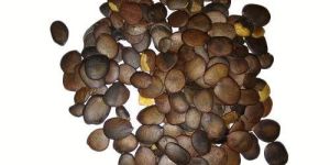Akino Herbal Seeds