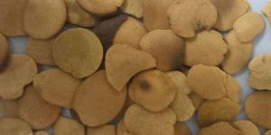 BRACHYSTEGIA EURYCOMA SEEDS