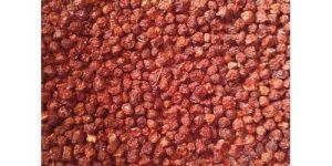 Gloriosa Herbal Seeds