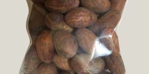 Xynotin Herbal Seeds