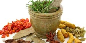 Medicinal Herbs