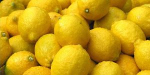 Fresh Yellow Lemon