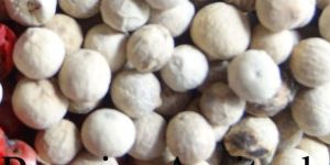 White Pepper Seeds