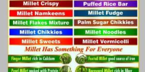 Millet Snacks