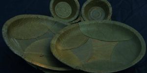 Biodegradable Products