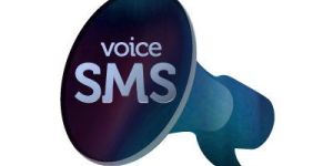 Bulk Voice Calls Services