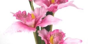 PPT-16029-7-120-1-FLOWER