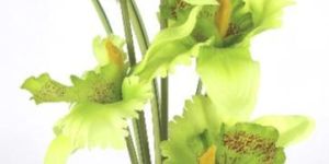 PPT-16029-7-120-2-FLOWER