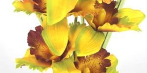 PPT-16029-7-120-FLOWER