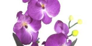 PPT-161029-7-100-Flower