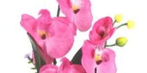 PPT-161029-7-101-Flower