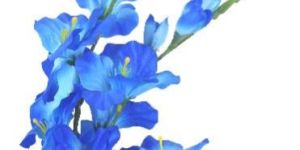 PPT-161029-7-123-fLOWER