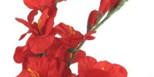 PPT-161029-7-124-fLOWER