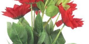 PPT-161029-7-602-FLOWER