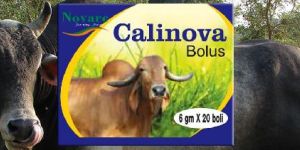 Calinova