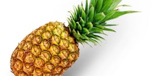 Fresh Pineapples