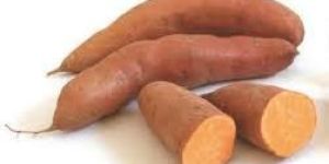 Fresh Sweet Potato