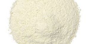 Dehydrated White Onion Powder