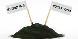 Spirulina Powder