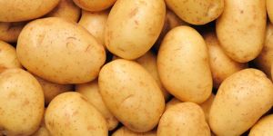 Fresh Potato