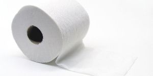 Toilet Paper Rolls